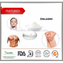 Ingredientes cosméticos 100% Pure Fish Collagen Powder